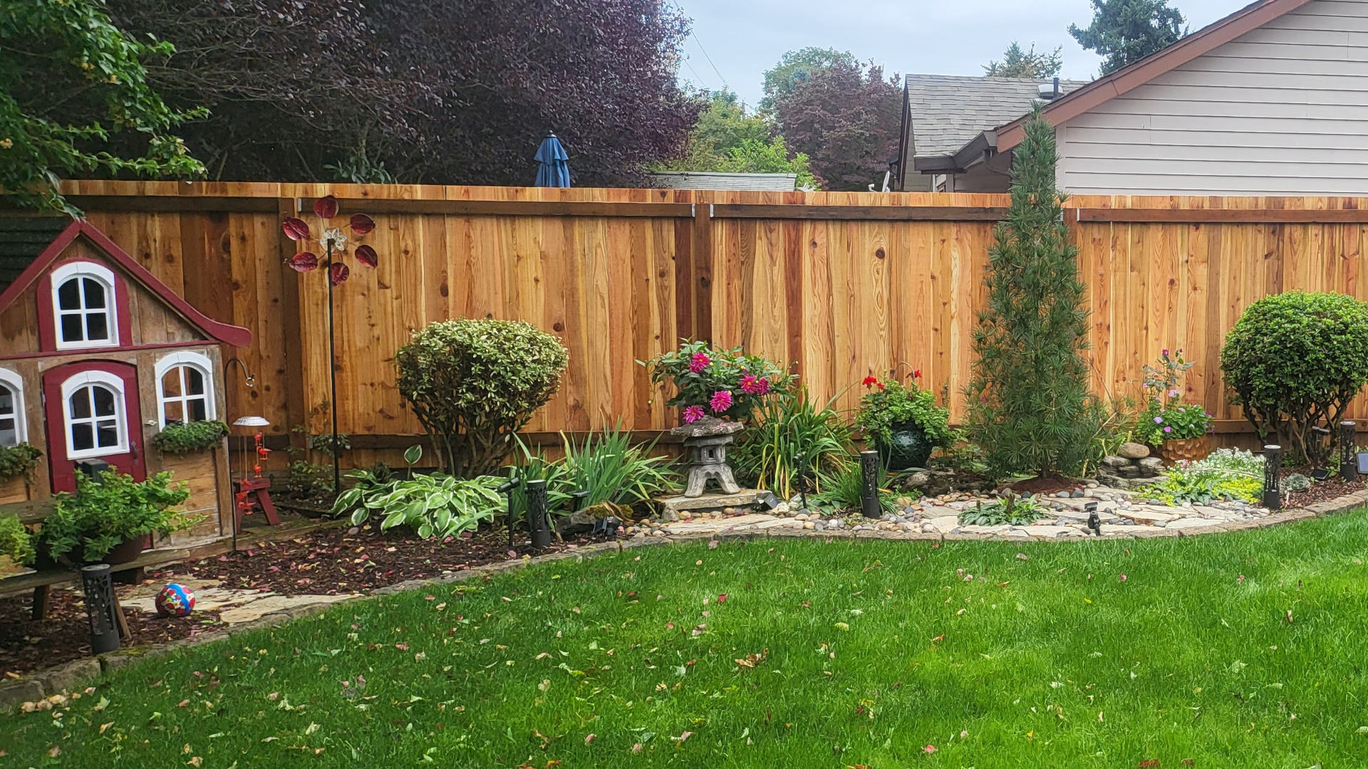 Cedar privacy fence installed in a Pacific Northwest backyard